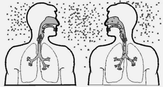 La bacteria de la tuberculosis se transmite de una persona a otra por el aire